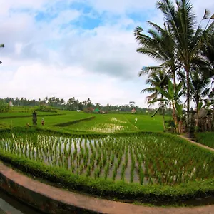 Vinarya Villa Ubud (Bali)